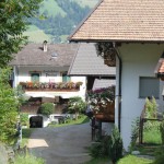 Anfahrtsweg zu unserem Hof